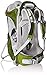 Osprey Packs Poco AG Child Carrier, Ivy Green