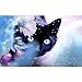 Vibola Cat and Tiger DIY 5D Diamond Embroidery Painting Cross Stitch Home Decor Craft (B)