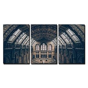3 Piece Canvas Wall Art - Natural History Museum, London - Modern Home Art Stretched and Framed Ready to Hang - 16"x24"x3 Panels