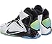 NIKE Men's Lebron Witness II Basketball Shoe