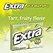 Extra Sour Green Apple Sugarfree Gum (Pack of 10)