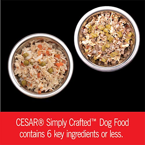 CESAR SIMPLY CRAFTED Dog Food Topper Variety Pack - Image 4
