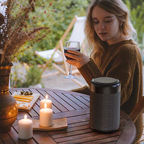 GGMM D7 Portable Speaker for Amazon Echo Dot 3rd Gen, Battery Power Supply 7 Hours Playtime, Increasing The Original Volume, Premium 360° Sound, Black (Dot Not Included)(Previous Version)