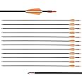 LWANO 28" Fiberglass Arrows - Archery Practice Target Arrows with Blunt Tips Durable Shaft for Youth Kids Children Beginners on Recurve&Long Bows(Pack of 12)