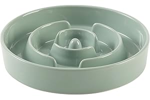 Havniva Ceramic 1.6 Cup Slow Feeder Dog Bowl for Medium and Large Breed, 8.2inch Puzzle Dog Food Dish, Anti-Gulping, Stop Bloat, Preventing Choking (Single Bowl-Light Green)