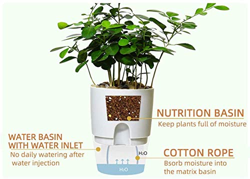 AITREASURE Plastic Plant Pots Self Watering Flower Planters Flower Pots for Indoor Outdoor with Cotton (3 Pack-4.1\'\' Clear Planter)
