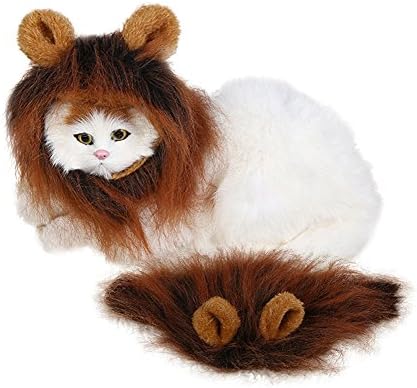 Midsummer Pet Closplay Wig Cat Dog Funny Hood (Deep Brown) Long Synthetic Female Pet Wigs Dog Cat Hair Costumes