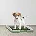 Artificial Grass Pee Pad Set for Dogs (Synthetic Plastic Grass) - Reusable Puppy Essential for Potty Training Small Pets Indoors and Outdoors by PETMAKER (Green)
