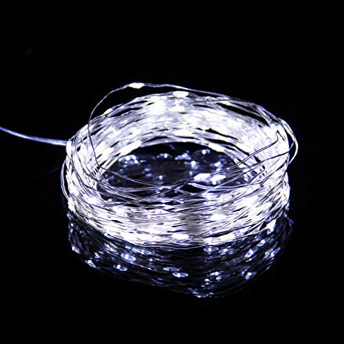 Dyrabrest 33ft USB String Lights 100 LED String Lights Starry Light Copper Wire Decorative Lights 8 Modes Multi Color with Remote Control for Christmas Holiday Garden Party Birthday Wedding