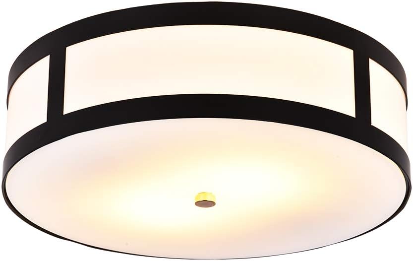 Best ceiling lights living room black