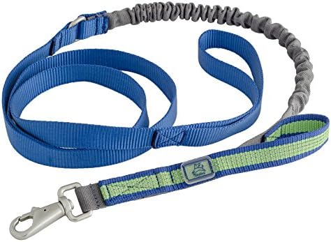 OllyDog MTN Spring Leash, 60", Ocean Kelp