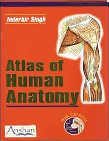 Atlas of Human Anatomy: 9781904798286: Medicine & Health Science Books