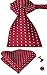 Hi-Tie Mens Red Polka Dots Silk Tie Pocket Square Cufflinks set