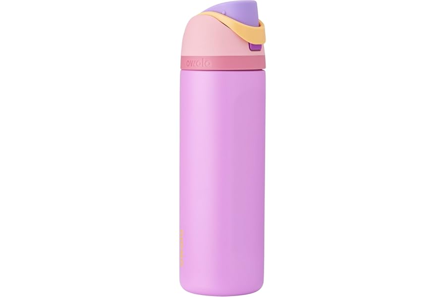 Owala Disney Princess FreeSip Insulated Stainless Steel Water Bottle with Straw for Sports and Travel, BPA-Free Sports Water Book