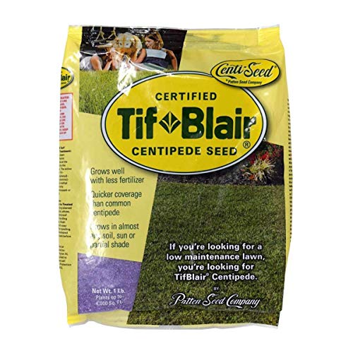 The 10 best grass seed centipede mix southern lawn Sideror Reviews
