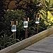 kinna Solar Garden Lights Outdoor Solar Pathway Lights Stainless Steel Landscape Lighting for Lawn, Patio, Yard(Copper)