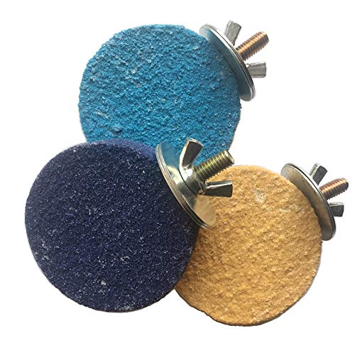 PIVBY Colorful Bird Perch Stand Toy Platform Paw Grinding Clean Wood Cage Accessories for Pet Parrot Macaw African Greys Budgies Parakeet Conure Hamster Gerbil Rat Mouse Stands Exercise Pack of 3