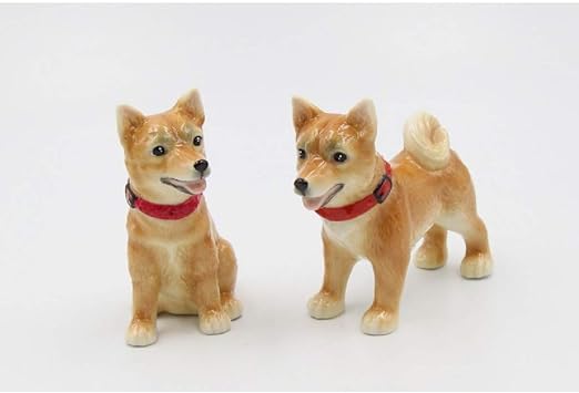 shiba amazon