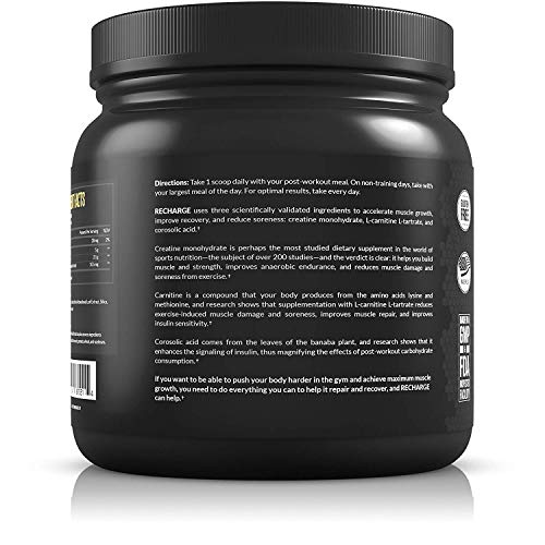 1 Legion+Recharge+Post+Workout+Supplement