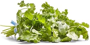 Herb Cilantro Organic, 1 Bunch