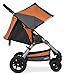 BOB U501925 Motion Stroller