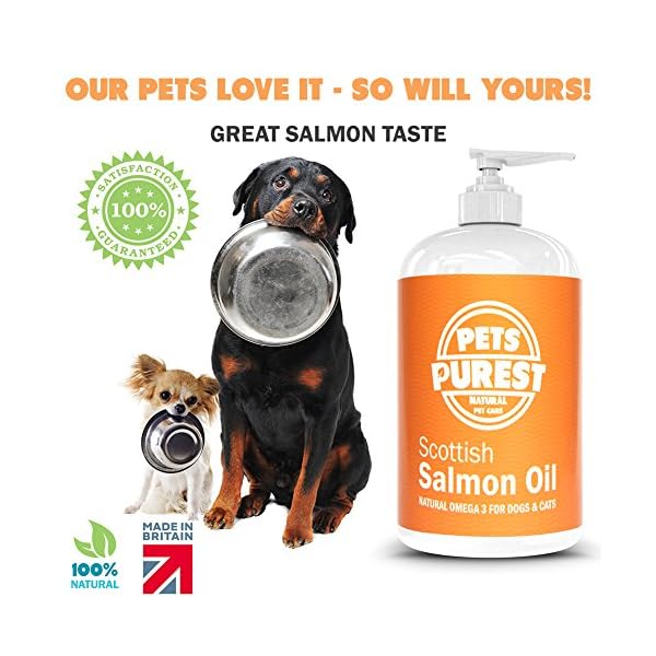 Pets-Purest-Scottish-Salmon-Oil-For-Dogs-Cats-Horses-Ferrets-Pets-100-Pure-Premium-Food-Grade-Natural-Omega-3-6-9-Supplement-Promotes-Coat-Skin-Joint-and-Brain-Health-500-ml Pets Purest Scottish Salmon Oil For Dogs, Cats, Horse, Ferret & Pet - Pure Omega 3, 6 & 9 Fish Oil Food Treats…