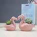 Youfui Ceramic Animal Flowerpot Succulent Plants Container Desk Mini Ornaments (Flamingos Family)