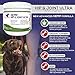 Advanced Hemp Chews for Dogs, Hip and Joint Supplement for Pain and Stress Relief, Separation Anxiety, Calming, Glucosamine and Turmeric Plus Natural Hemp Oil-Infused Treats, Maximum Potency
