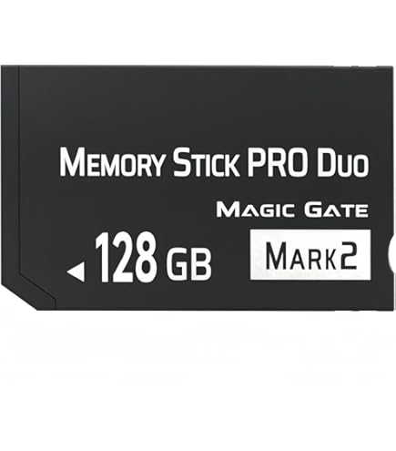 Amazon.com: 32GB Sony Memory Stick PRO-HG Duo HX High-Speed