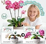 Antonki 2 Pack Plant Water Meter Soil Moisture Hygrometer Sensor Kit view 2