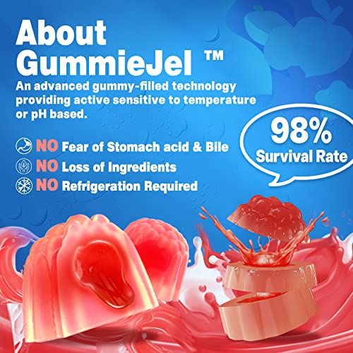 Sugar Free Probiotic Gummies 50 Billion CFU 11 Strains with Prebiotics