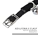 CHUKCHI Soft Velvet Safe Cat Adjustable Collar Bling Diamante with Bells,11 inch for Small Dogs and Cats (Black)