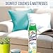 Lysol Max Cover Disinfectant Mist, Brighter Horizon, 15oz