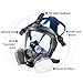 Holulo Organic Vapor Full Face Safety Respirator Mask Respiratory Protection Gas Masks Paint  Chemical Formaldehyde Anti Virus Full w/Activated Carbon Respirator