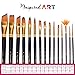 Paint Brush Set of 15 Art Brushes for Acrylic Painting, Watercolor, Oil and Gouache. Professional Artist Quality Paintbrushes, No-Shed Bristles. Protective Carry Case, Gift Box & Care Guide Included