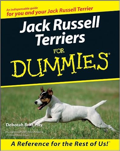 Jack Russell Terriers for Dummies (For Dummies (Computer/Tech)) �y�[�p�[�o�b�N  - 2000/9/25