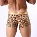L'ASHER Mens Fashion Sexy Leopard Print U Convex Pouch Boxer Brief Underwear