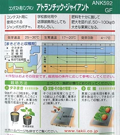 Amazon カボチャ タキイ種苗 アトランチィク ジャイアント タキイ種苗の巨大カボチャの種です 野菜 Amazon カボチャ タキイ種苗 アトランチィク ジャイアント タキイ種苗の巨大カボチャの種です 野菜