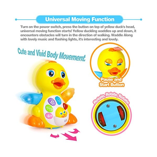 light up musical toys