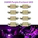 Partsam 8PCS 36mm Festoon 6 SMD LED Bulbs for Car Interior Map Dome Lights, Purple