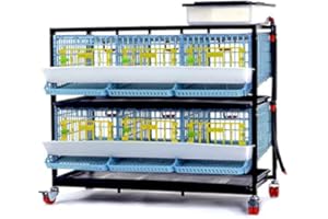 Quail Breeding Cage Indoor: 2 Layer Stackable Quail Coops, Quail Pens, Easy Clean, Rust-Free, Easy Egg Collection (2024 Upgrades: Longer Waste Tray, Removable Middle Walls) Cimuka by Hatching Time