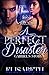 A Perfect Disaster; Gabriel's Story