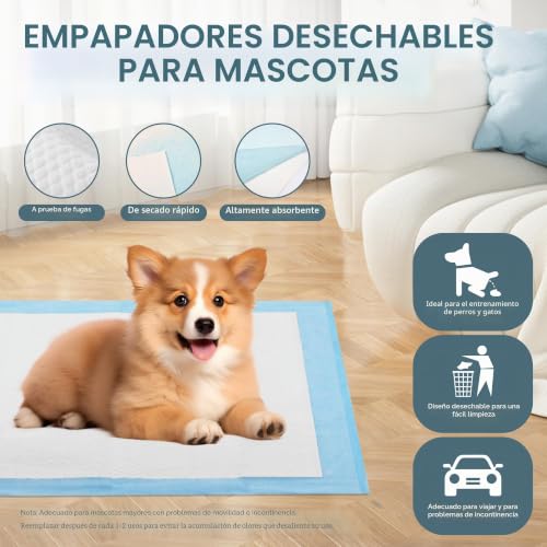 Chumix 100 Units Dog Pads 60 x 60 cm, Dog Pads for Puppy Pads at Home, Design of 6 Layers Anti-Leak, Training Wipes for Puppies, Older Dogs