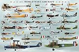 World War I Aircraft Educational Poster