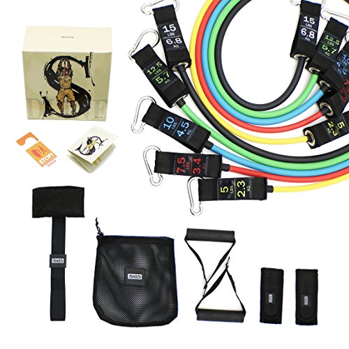 Resistance band set with handles,5 exercise bands,door …