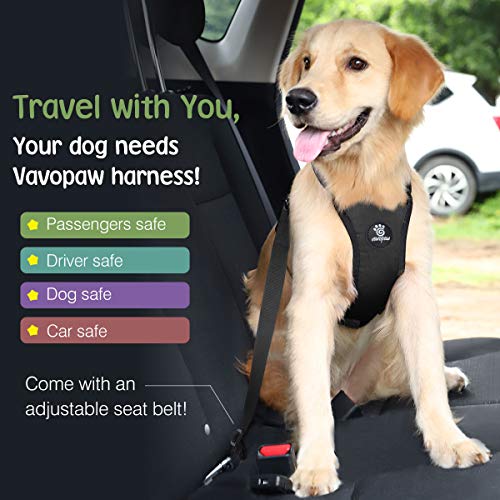VavoPaw Dog Vehicle Safety Vest Harness, Adjustable Soft Padded Mesh