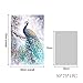 HD Canvas Prints Home Wall Art Painting Picture-Beautiful Peacock Unframed Decor