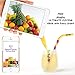 Reusable Silicone Drinking Straws with brush (x6) BPA Free Silicone | Strong, Flexible & Soft Straws | Complete bundle: Straws + Brush + FREE JUICING Recipes eBook!