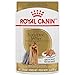 Royal Canin Yorkshire Terrier Adult Breed Specific Wet Dog Food, 3 oz can (12-count)
