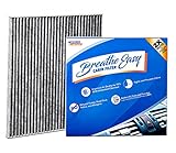 Spearhead Premium Breathe Easy Cabin Filter, Up to 25% Longer Life w/Activated Carbon (BE-776)